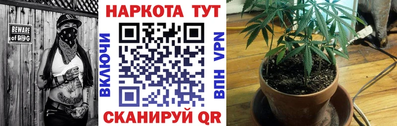 Наркошоп купить ГАШ  Канабис  А ПВП  Меф мяу мяу  КОКАИН  Дмитров