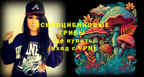 ешки Заводоуковск
